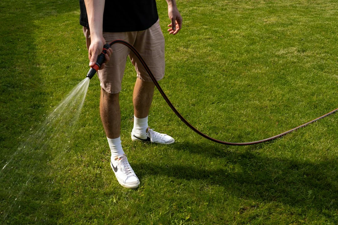 Person watering grass in a yard with a hose