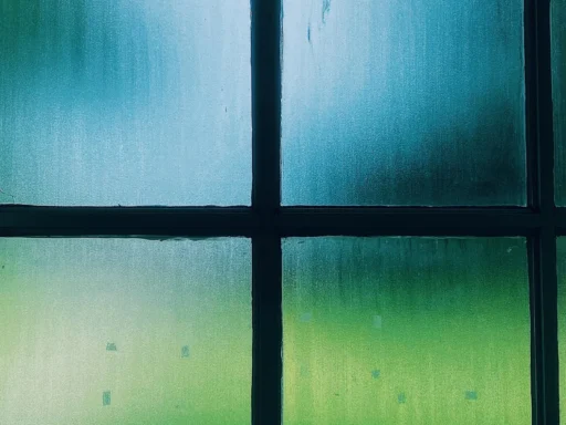 Clouded windowpanes divided by dark frames with a blurred outdoor view
