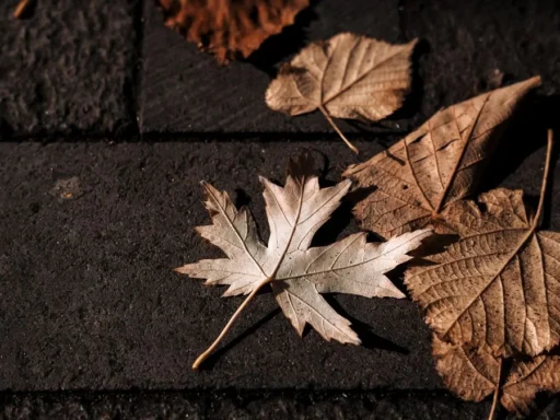 Dry brown fallen leaves resting on dark paving stones before fall cleanup