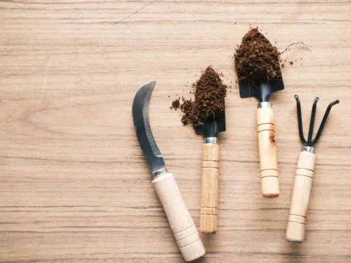 Gardening hand tools and soil arranged on a wooden table